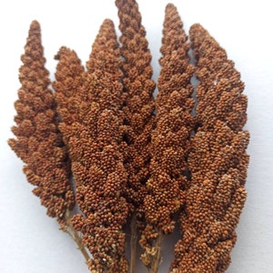 7 pezzi - Spray di miglio da 150 grammi, spray di miglio biologico, spray di miglio naturale, spray per criceti, dolcetti per pappagalli, dolcetti per criceti, dolcetti per uccelli