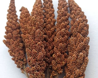 Organic Millet Sprays - Hamster & Bird Treats (7pcs - 150 gram)