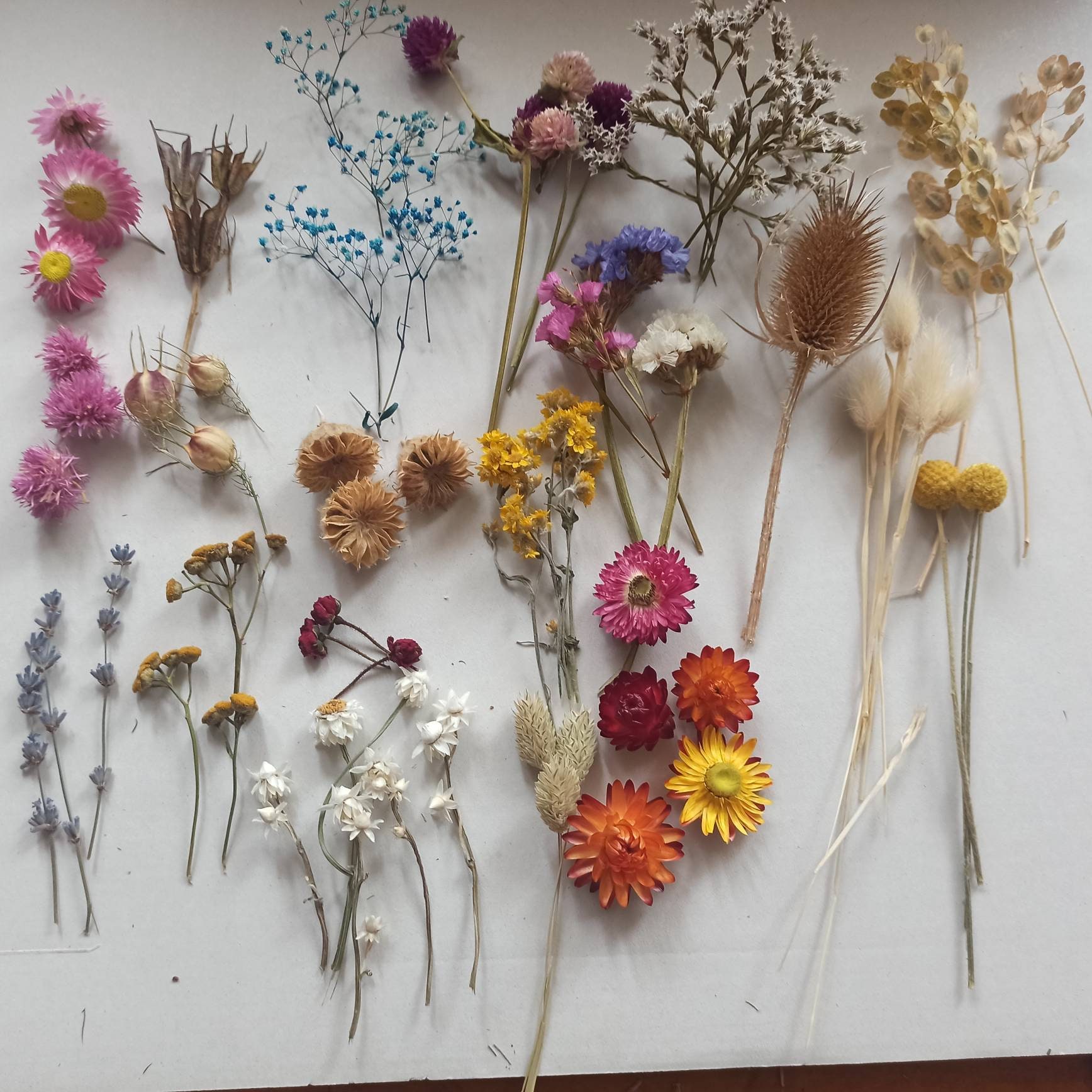 Small Dried Flowers Tiny Dry Flowers Tiny Dried Flowers Etsy