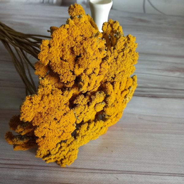 Dried Yellow Yarrow Bunch, Natural Chrysanthemum Stems, DIY Craft Supply