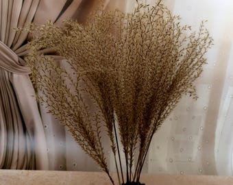 15 Large Dried Reed Grass Stems, Fall Wedding Floral Decor (50-60cm)