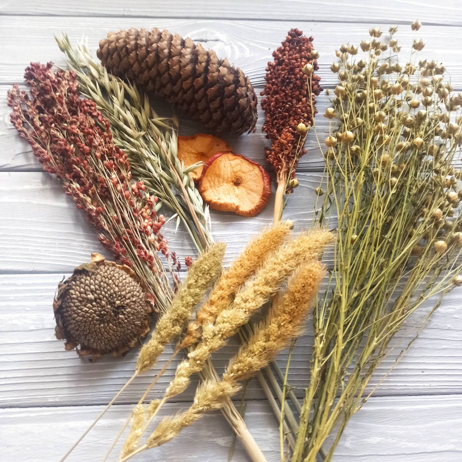 150 G Hamster Sprays Set Organic Hamster Sprays Bird Sprays Etsy