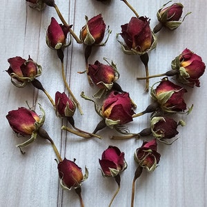 Real dry roses,Miniature Rose Buds,Dried Roses