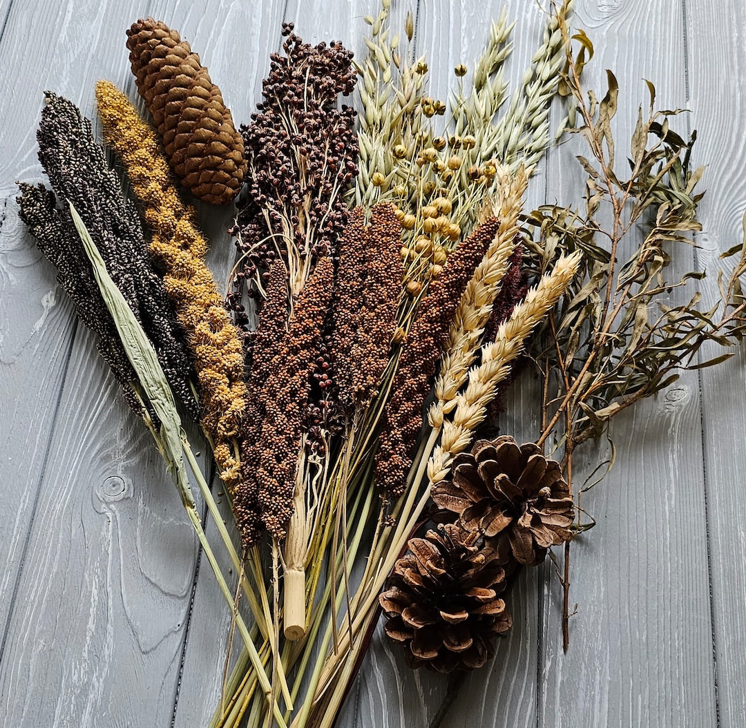 300 G Hamster Sprays Set Organic Hamster Sprays Bird Sprays Etsy