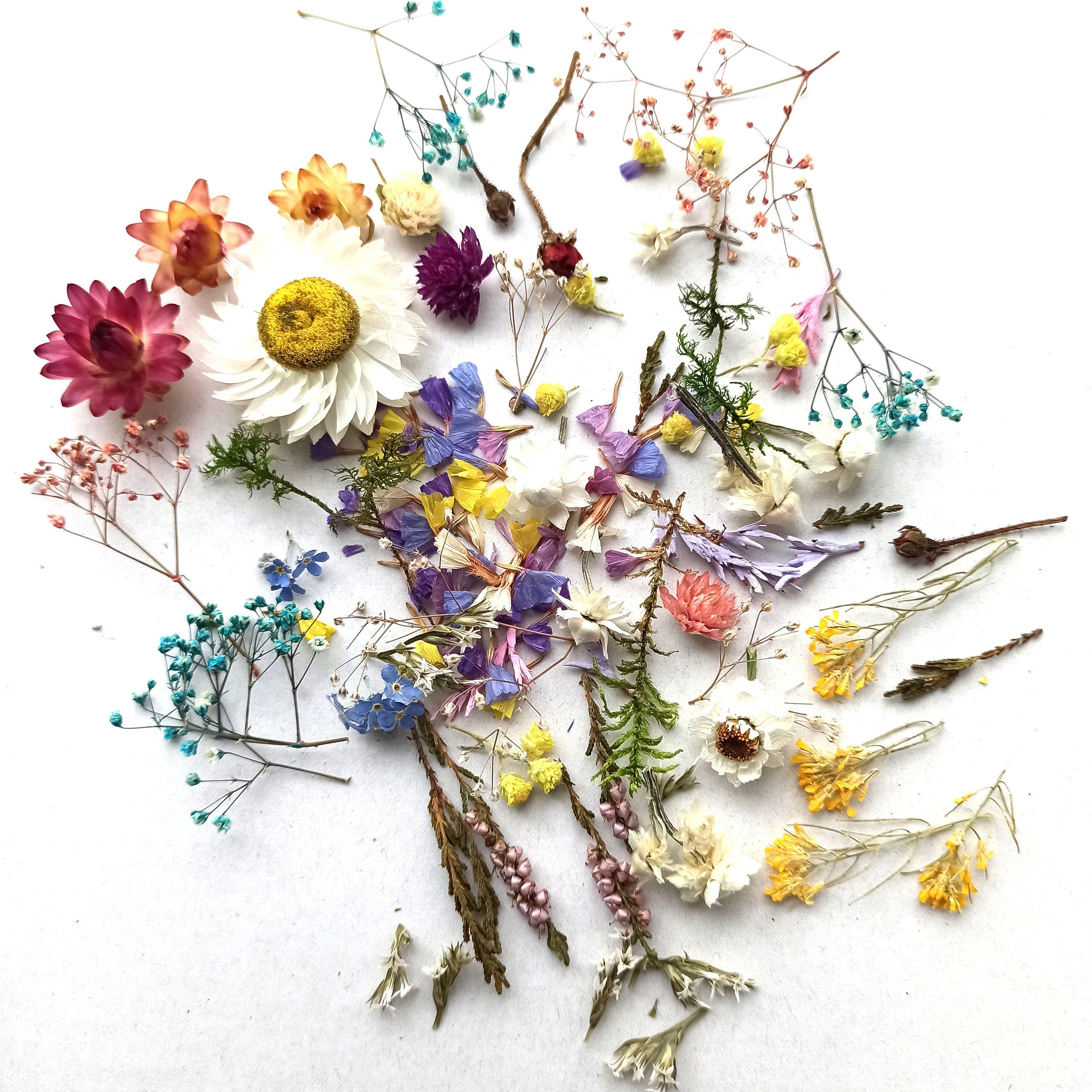 Fiori Secchi 84 Pezzi Per Resina - Decorativi Naturali Per Craft, Cornici, Saponi - Foto 10