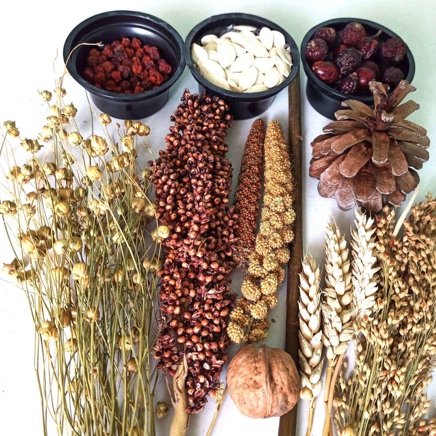 150 G Hamster Sprays Sethamster Sprays Hamster Cage Etsy