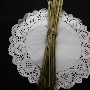 May include: A collection of dried green stems bound with twine, presented on a white paper doily with a decorative lace edge. The black background provides a contrast, emphasizing the natural textures and colours.