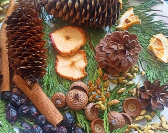 Christmas Forest Potpourri, Pine Cones, Cinnamon, Dried Fruit (150 g)