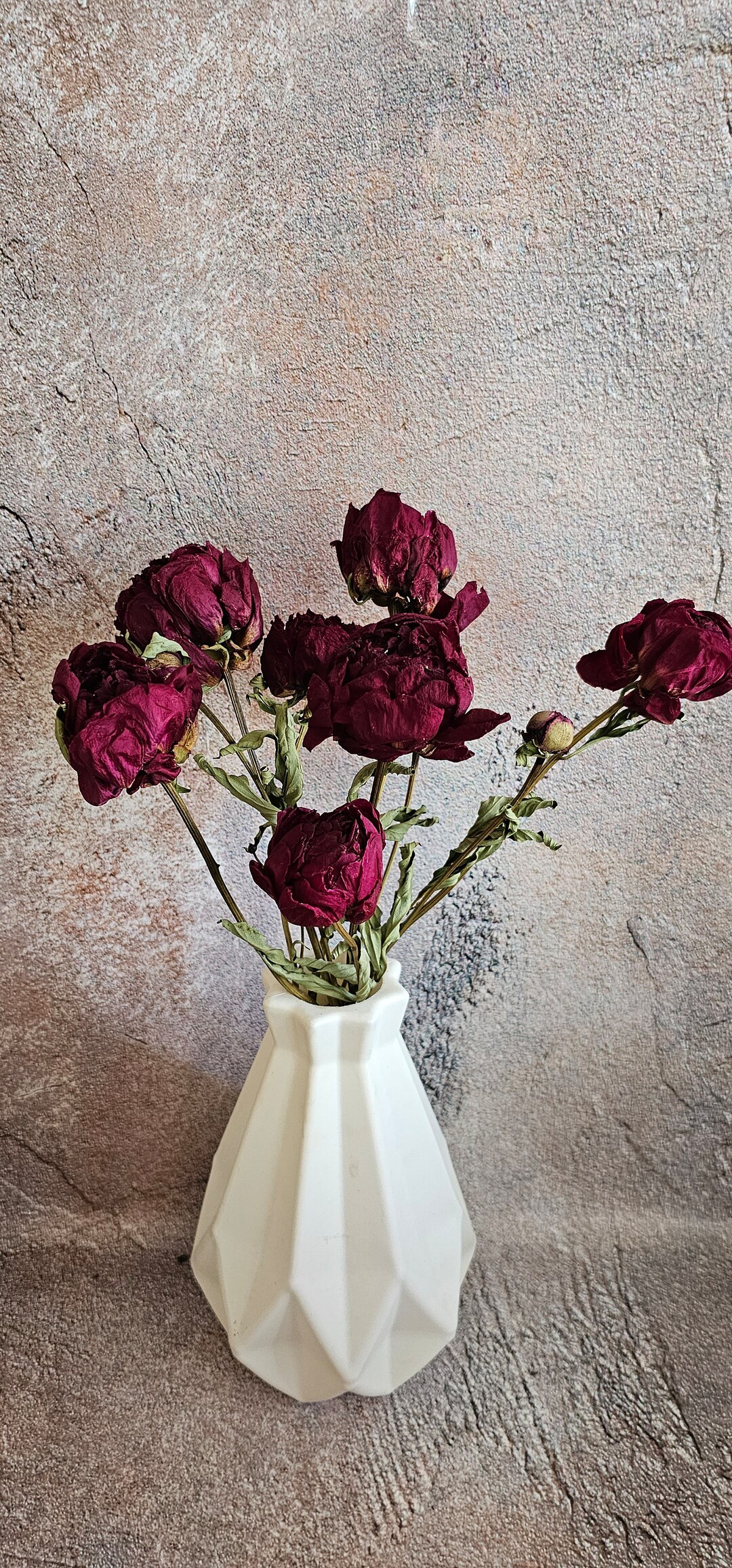 Dried Peony Bunch,dried Peonies for Weddings,dried Flowers for Vase