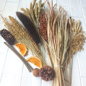 Zestaw 400 gramów dużych organicznych sprayów dla chomików