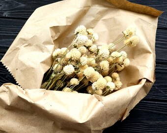 Könnte beinhalten: Ein Strauß getrockneter weißer Blumen, verpackt in braunes Papier. Die Blumen sind in einem lockeren, natürlichen Stil angeordnet, und das Papier ist leicht zerknittert.