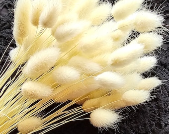 QUARKZMAN 60pcs Queue De Lapin Naturelle Fleurs Séchées 17