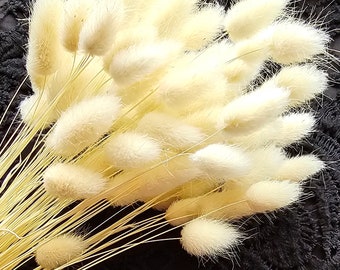 60 Brins D'Herbe De Pampa Queue De Lapin Séchée - 43 Cm, Beige - Pour Déco Mariage, Noël, Bouquets