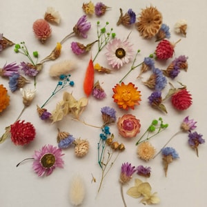 50 kleine gedroogde bloemen, gemengde kleuren, kunsthars