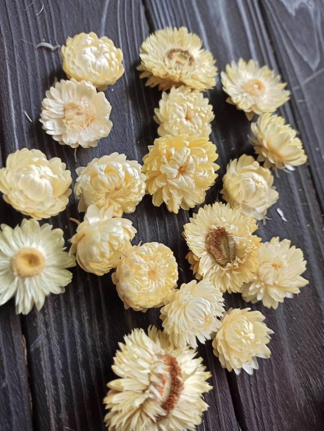 100 Dried White Flowers, Dry Flowers, White Strawflowers,resin Craft