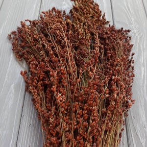 150 g Organic Sorghum, Sorghum