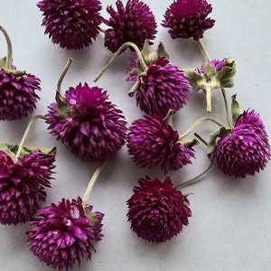 50 pcs Gomphrena heads,purple dried flowers,epoxy resin supply,tiny dried flowers,DIY Soap Making DIY Candle Making,purple dry flowers