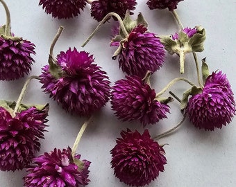 50 Stück Gomphrena-Köpfe, lila getrocknete Blumen, Epoxidharz, kleine getrocknete Blumen, DIY-Seifenherstellung, DIY-Kerzenherstellung, lila Trockenblumen