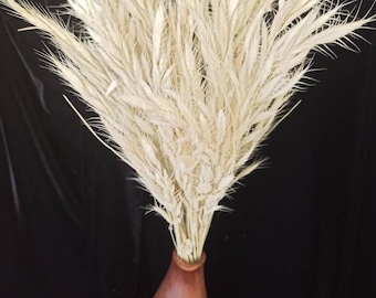 May include: A bouquet of dried white wheat stalks in a brown ceramic vase with white floral designs.