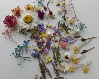 Flores Secas Colores Manualidades Flores Secas Para Manualidades SLAXJNE - 300 Piezas De 5-12 Mm 300 Piezas Flores Secas Miniaturas 5-12mm Resina