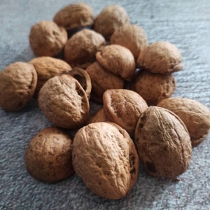 May include: A pile of brown walnut shells, some with the outer husk still attached.