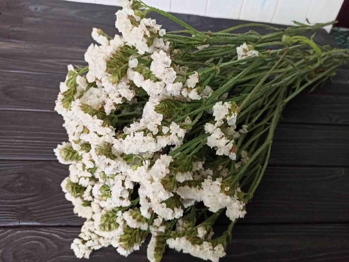 White Statice Bunch White Dried Statice Wedding Flowers Etsy