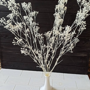 White Dried Baby Breath, Real Dried Gypsophila, Dried Flowers supplies, White dried gypsophila, White baby&#39;s breath,White home dried flowers