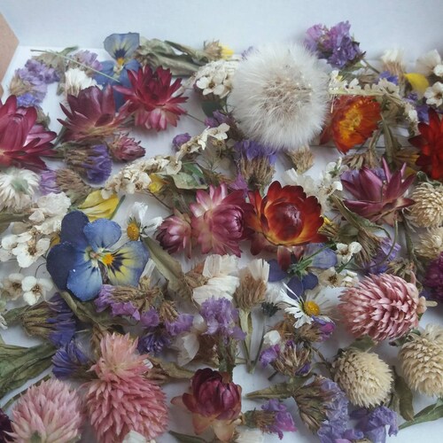 Small Dried Flowersmix Dry Flowersflowers for Resin Etsy