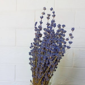 Purple Pressed Flowers, Dried Pressed Flowers,Pressed Flowers for Resin,dry lavender,real pressed flower,Soap Making, Candle Making