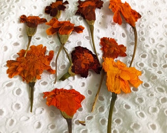 Pressed Yellow Marigold Flowers, Floral Art, Craft Supplies