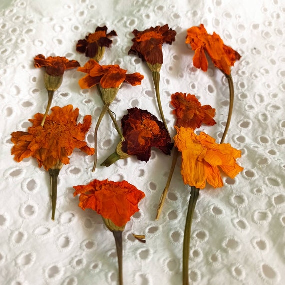 Dried Flowers Pressed Epoxy Resin