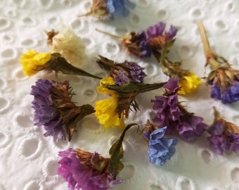 100 fiori di limonio essiccati, fornitura di gioielli in resina fai da te