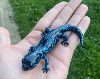  Syd Salamander 紙タグ難あり サンショウウオ 青い斑点のあるサンショウウオの置物 長さ10 cm - Etsy 日本
