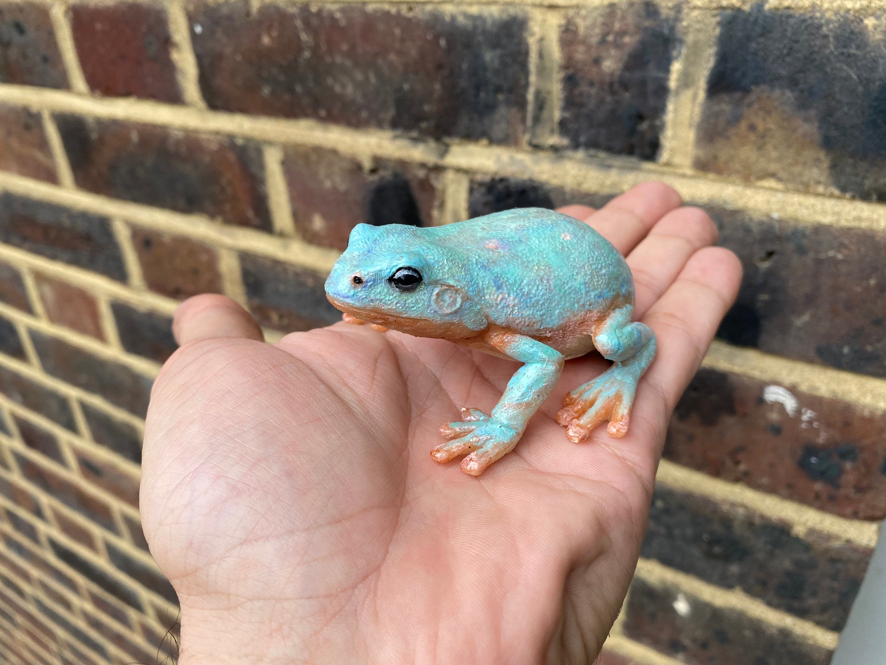 アマガエル 置物 手作りのオーストラリア産アマガエルの置物（8cm） - Etsy 日本