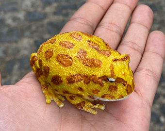 アルゼンチンの置物 リアルなアルゼンチンツノガエルの置物 - Etsy 日本