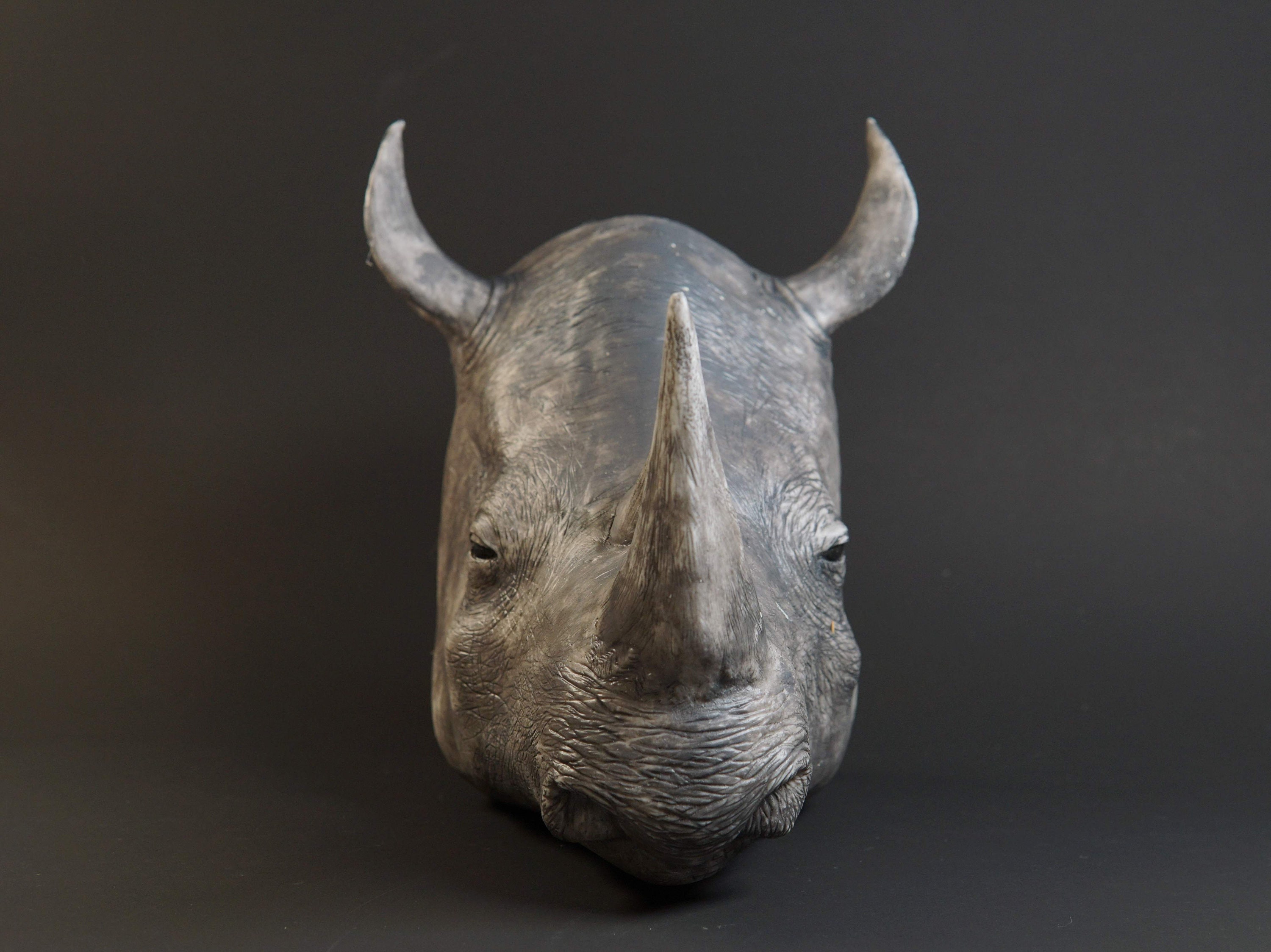 【シュウ】剥製 リアルなサイの胸像、偽剥製 - Etsy 日本