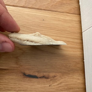 May include: A white alligator head figurine with a detailed textured surface and open mouth.