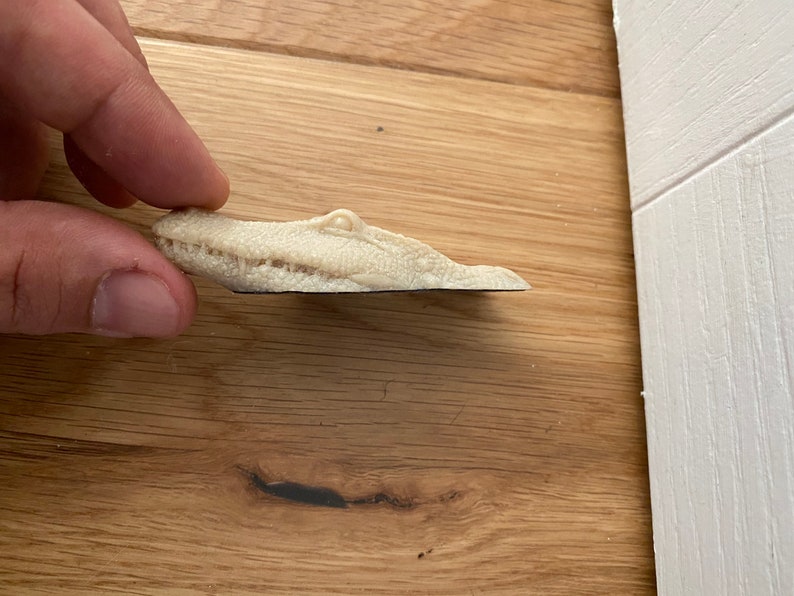 May include: A white alligator head figurine with a detailed textured surface and open mouth.