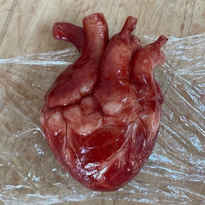 Oversize Animatronic human heart, anatomical 2 movement beating . lithium battery powered . 18 cm length