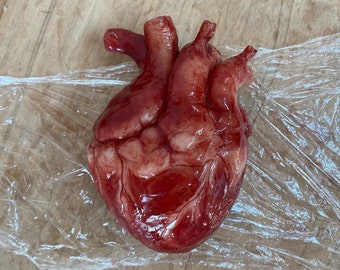 Può includere: Un modello anatomico realistico di un cuore umano, realizzato in silicone rosso, con dettagliate texture superficiali e una finitura lucida.