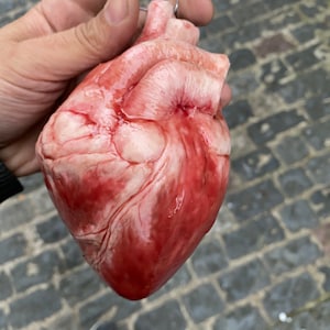 Animatronic human heart, usb powered beating heart- 15 cm length/lifesize