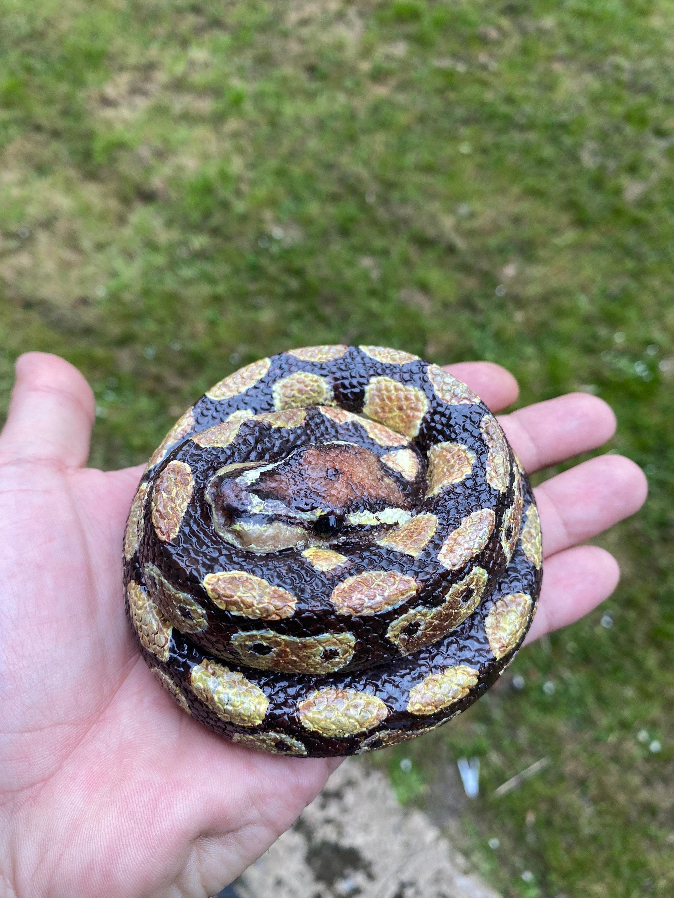 Ball Python (10 Cm Diameter) - Etsy UK