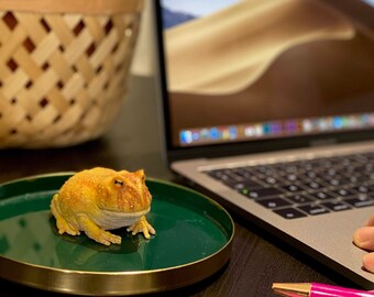 リアルなアルゼンチンツノガエルの置物 - Etsy 日本