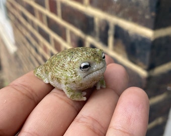 Baby Desert Rain Frog Figurine... Angry Squeaker frog