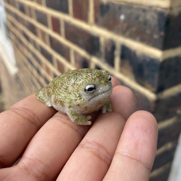 Baby Desert Rain Frog Figurine... Angry Squeaker frog