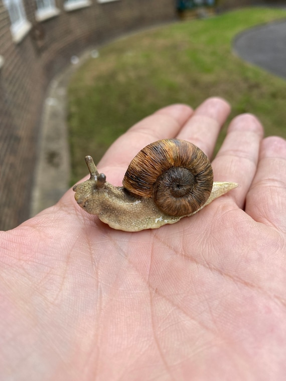Baby Snail Figurine Etsy