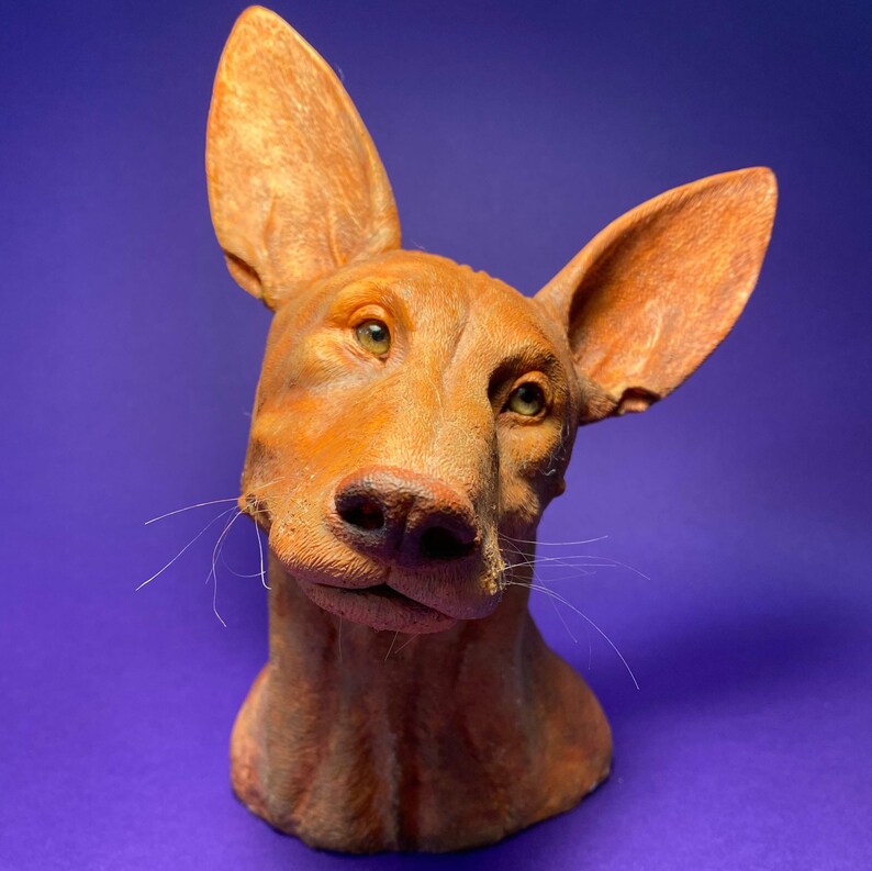 Realistic Pharaoh Hound Sculpture… | Etsy UK