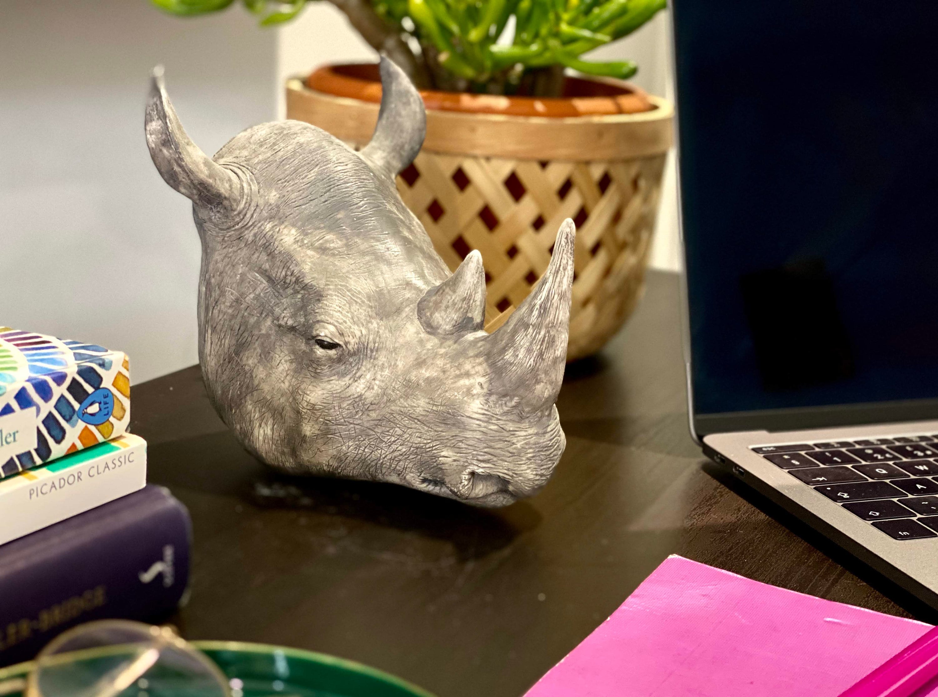 【シュウ】剥製 il_fullxfull.2266306500_g3eb.jpg