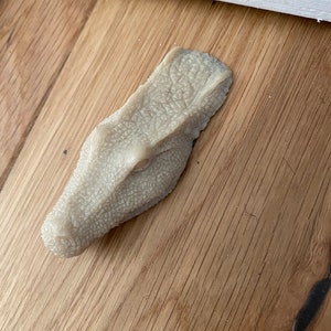May include: A light brown, textured, alligator head doorstop. The doorstop is made of a soft, pliable material and is designed to prevent doors from slamming.