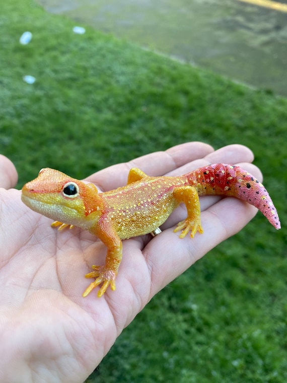 オレンジタイガー シックトゥード ヤモリ フィギュア 長さ12 cm - Etsy